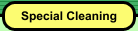 Special Cleaning