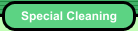 Special Cleaning